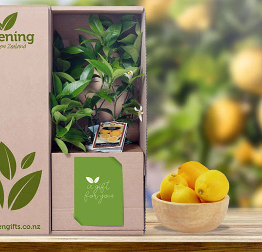 HELP! FRIEND’S BIRTHDAY COMING UP – WHAT TO GIFT?