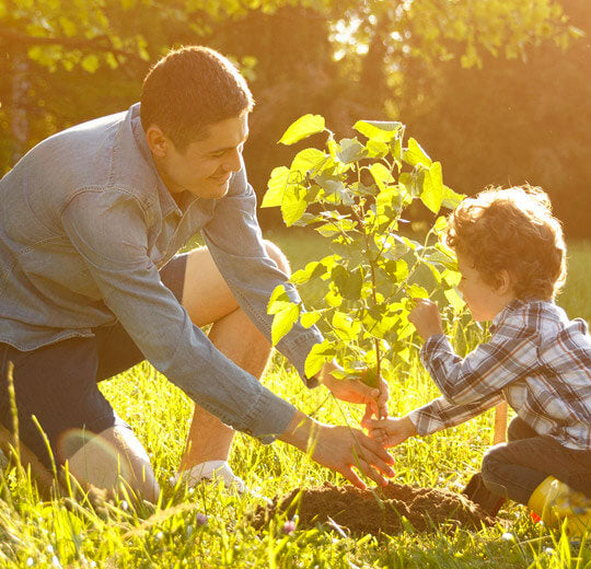 Bereavement Gifts - A Symbol of Life In Death