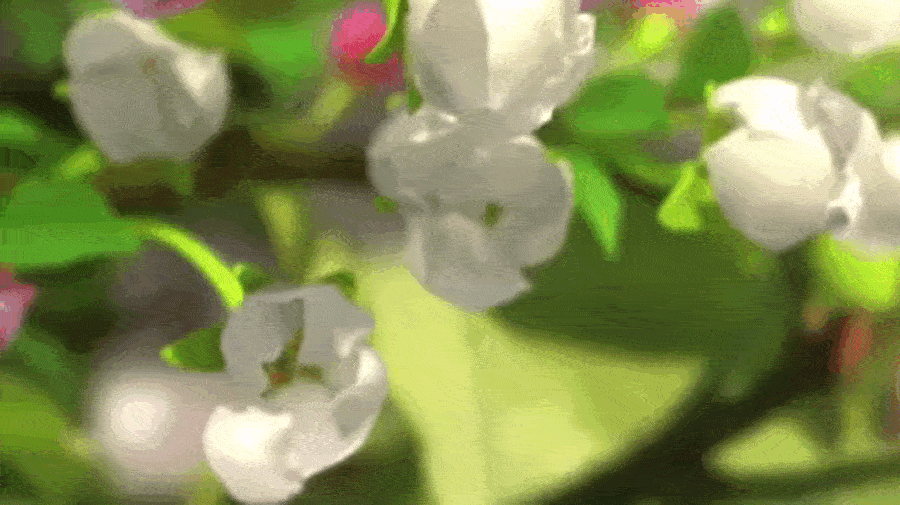 Multi Banner Images