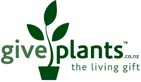 Give Plants