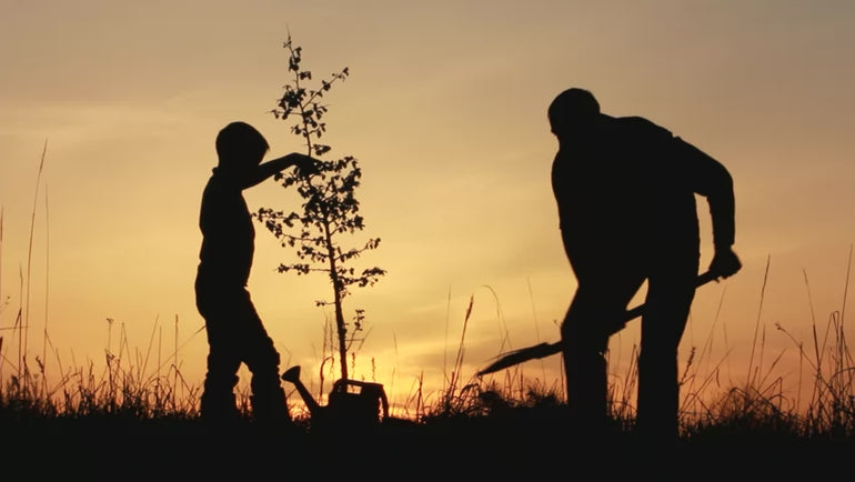 Bereavement Gifts