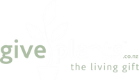 Give Plants