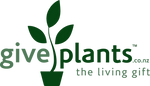 Give Plants