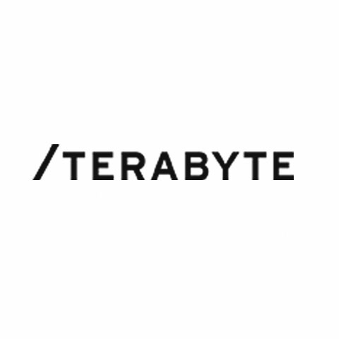 Terabyte Interactive logo